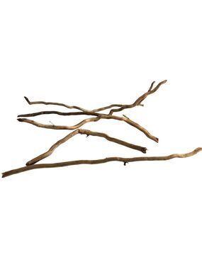 Natural Driftwood Pieces For Crafting & Home Decor 5 pieces